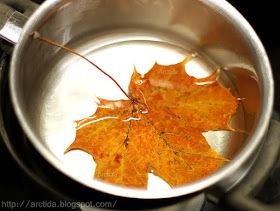 Arctida’s creations: DIY autumn home decor Falling Leaves tutorial - how to make a fall hanging Preserve Leaves, Leaves Tutorial, Melt Candle, Pretty Leaves, Leaves Candle, Pretty Leaf, Autumn Home Decor, Shake Off, Double Boiler