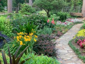 Flower Garden Pictures, Dog Friendly Garden, Dog Friendly Backyard, Feng Shui Garden, Easy Landscaping, Shade Perennials, Rain Garden, Garden Pictures, Garden Pathway