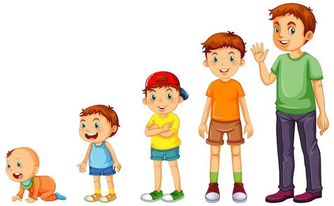 Human Clipart, Growth Art, Human Life Cycle, Human Growth And Development, Drawing Children, Hand Washing Poster, Child Growth, Process Of Change, Nursery Activities