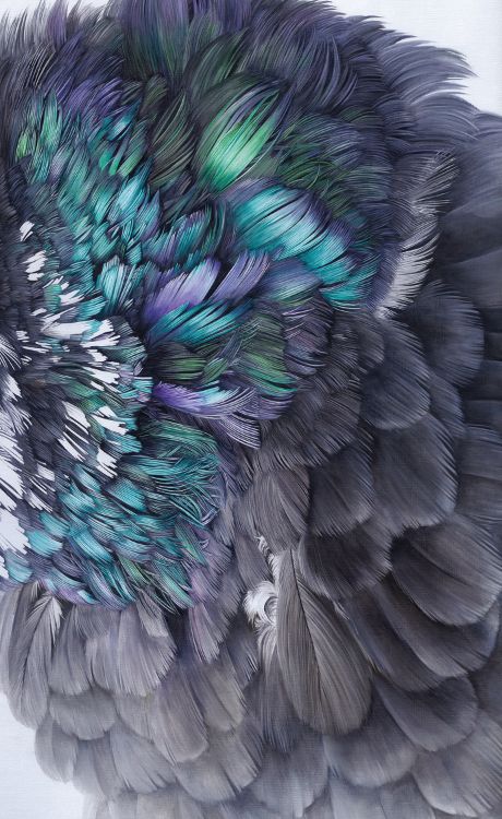 Pigeon Aesthetic, Pigeon Feather, Feather Tutorial, Pigeon Pictures, Dark Portrait, Instagram Background, Watercolor Projects, Feather Wall, Close Up Photography