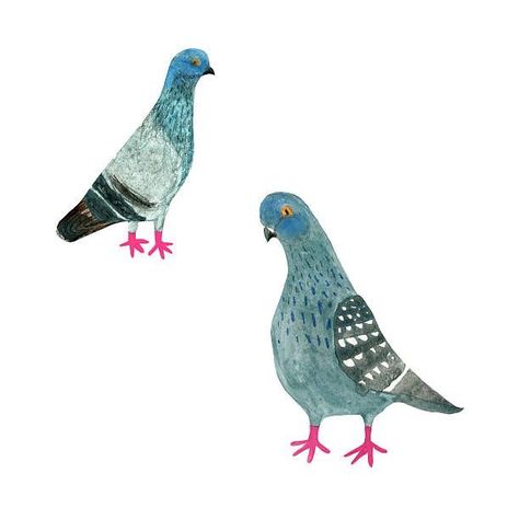 Cute Pigeon, Animal Illustration Art, 캐릭터 드로잉, Vector Images Illustrations, Pretty Drawings, Bird Pictures, Bird Illustration, Art Painting Acrylic, Wildlife Art