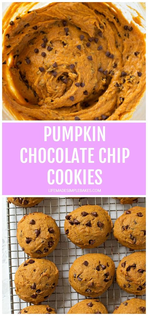 These copycat Harmons pumpkin chocolate chip cookies are a fall favorite. They're soft, thick and studded with mini chocolate chips. #pumpkincookies #pumpkinrecipes #pumpkin #pumpkinchocolatechipcookies #chocolatechipcookies Pumpkin Chocolate Chip Cookies Easy, Vegan Pumpkin Chocolate Chip Cookies, Pumpkin Cookies Healthy, House Pumpkin, Healthy Chocolate Chip, Pumpkin Chocolate Chip Cookies, Pumpkin Chocolate Chip, Pumpkin Chocolate Chips, Chip Cookie Recipe