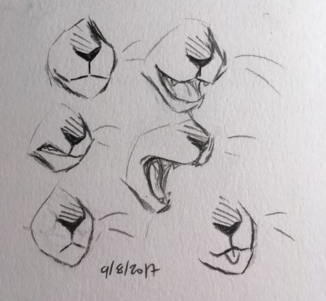 Cat Mouths Drawing, Animal Snout Reference, How To Draw Cat Mouth, Cat Mouth Drawing Reference, How To Draw A Snout, Cat Mouth Reference, Cat Open Mouth Drawing, Cat Mouth Drawing, How To Draw Warrior Cats