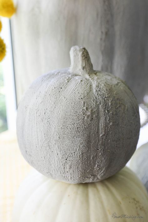 How to paint pumpkins to look like concrete with baking soda How To Paint Pumpkins, Concrete Pumpkins, Paint Pumpkins, Fall Decor Diy Crafts, Pumpkin Display, Pumpkin House, Plastic Pumpkins, Flat Paint, Texture Paste