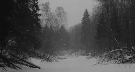 Snow Gif, Black And White Gif, Animiertes Gif, I Love Winter, Banner Gif, Clipuri Video, Nature Gif, Animated Images, Aesthetic Gif