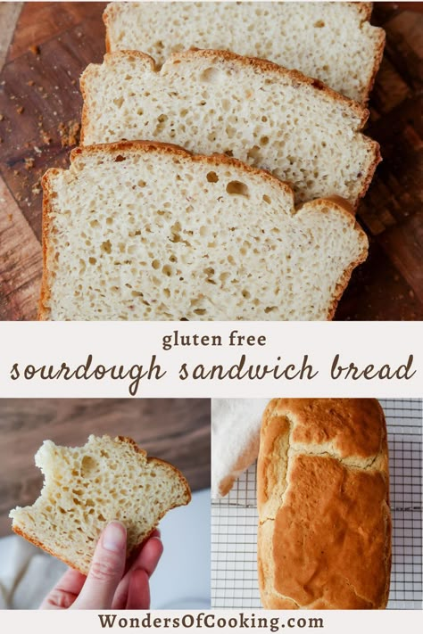 Best Gluten Free Sandwich Bread Recipe, Gluten Free Sandwich Bread Recipe, Gluten Free Sandwich, Glutenfree Bread, Making Sandwiches, Homemade Gluten Free Bread, Gluten Free Sandwich Bread, Best Gluten Free Bread, Gluten Free Sandwiches