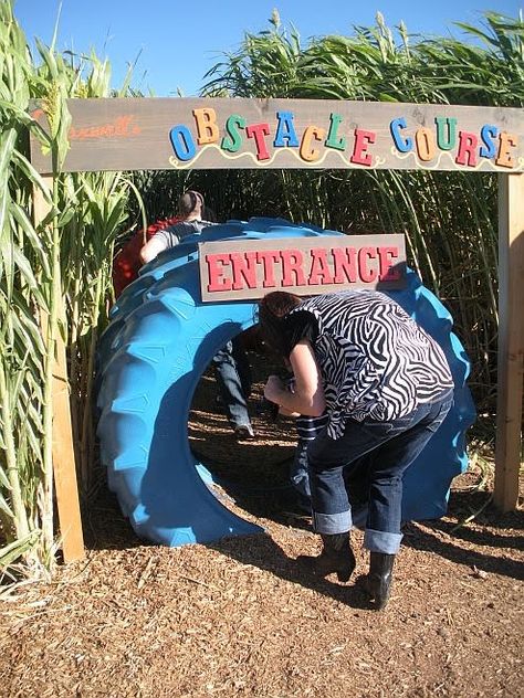 Farm Tourism, Tire Playground, Pumpkin Patch Farm, Pedal Tractor, Rope Bridge, What A Life, Wild Hare, Farm Fun, Pumpkin Farm