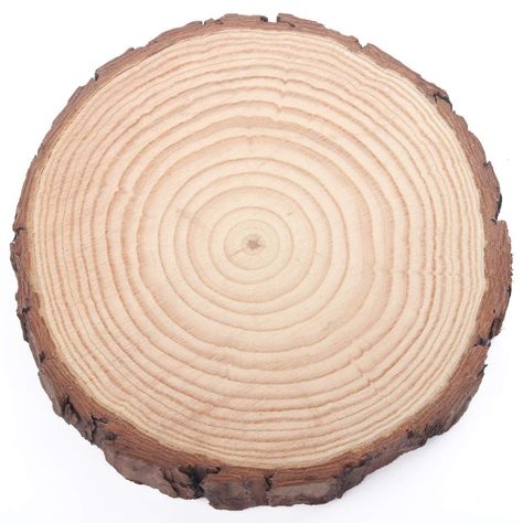 Amazon.com: Fuhaieec Wood Slices Natural Unfinshed Round Pine Wood Slabs, 7'' to 8'', 4 Pack, Large Rustic Wood Pieces with Tree Bark for Wedding Centerpiece DIY Craft Christmas Rustic Wedding Ornaments Round Wood Craft Ideas, Wood Rounds Crafts, Tree Bark Crafts, Wood Slice Centerpieces, Large Wood Slices, Centerpiece Diy, Wedding Ornaments, Log Slices, Wood Bark