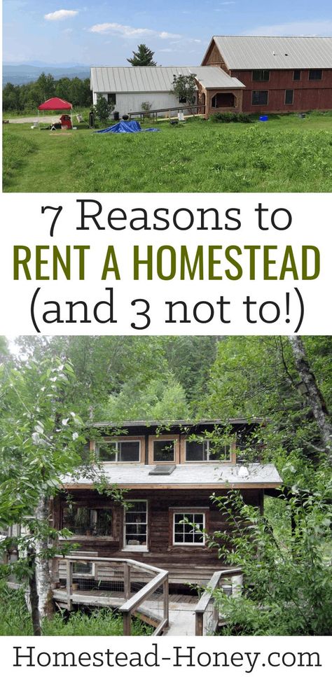 You dream of homesteading, but don't yet have a property. Here are 7 reasons to rent a homestead before you buy, and 3 reasons to buy a homestead now. #homesteading #homestead Homestead Land, Homestead Property, Farm Plans, Urban Farmer, Tiny House Community, Homesteading Skills, Urban Homesteading, Backyard Farming, Farms Living