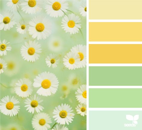 Design Seeds Seasons Color Palette, Cottagecore House Decor, Colour Palette Summer, 7 Color Palette, Sun Palette, Flower Color Palette, Inspiration Color Palettes, Summer Colour Palette, Seeds Color Palette