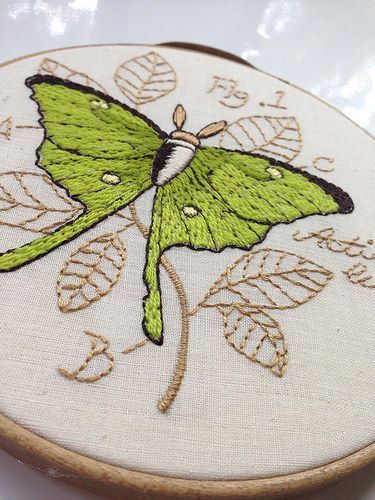 Moth Embroidery, Nature Journals, Insect Wall, Embroidered Hoop, Urban Threads, Embroidered Napkins, Embroidered Butterfly, Luna Moth, Textile Crafts