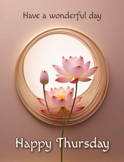 Happy Thursday Images Beautiful, Happy Thursday Morning, Happy Thursday Images, Good Morning Wishes Friends, Thursday Greetings, Good Morning Happy Thursday, Good Morning Sister, Happy Thursday Quotes, Good Afternoon Quotes