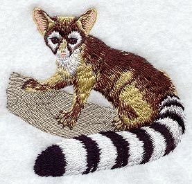 Ringtail design (C1548) from www.Emblibrary.com Joey Kangaroo, Kangaroo And Joey, Color Knowledge, Summer Towel, Waffle Weave Towels, Nocturnal Animals, H Design, Towel Kitchen, Embroidered Towels