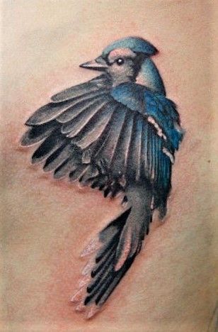 Tattoo Blue Jay Tattoo, Jay Tattoo, Bird Tattoo Men, Bluebird Tattoo, Rainbow Water, Anchor Tattoos, Bird Tattoo, Desenho Tattoo, Feather Tattoos