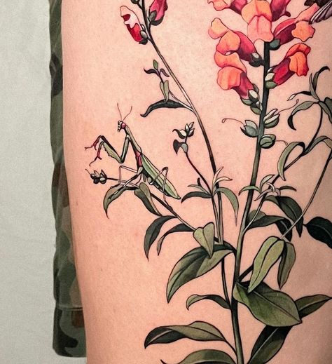 The Mantis, The Snapdragon and the Hummingbird ••• Thank you Lee for a really fun time and for trusting me with your first tattoo! ••• done… | Instagram Vanessa Core Tattoo, Snapdragon Tattoo, Vanessa Core, Tattoo Floral, Plant Tattoo, Fully Booked, Sleeve Tattoos For Women, First Tattoo, Fun Time