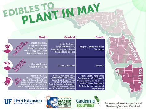 Gardening Solutions Infographics - Gardening Solutions - University of Florida, Institute of Food and Agricultural Sciences What To Plant When, Low Maintenance Garden Design, Garden Landscaping Ideas, Winter Gardening, Garden Layout Vegetable, Florida Gardening, Agricultural Science, Low Maintenance Garden, Organic Gardening Tips