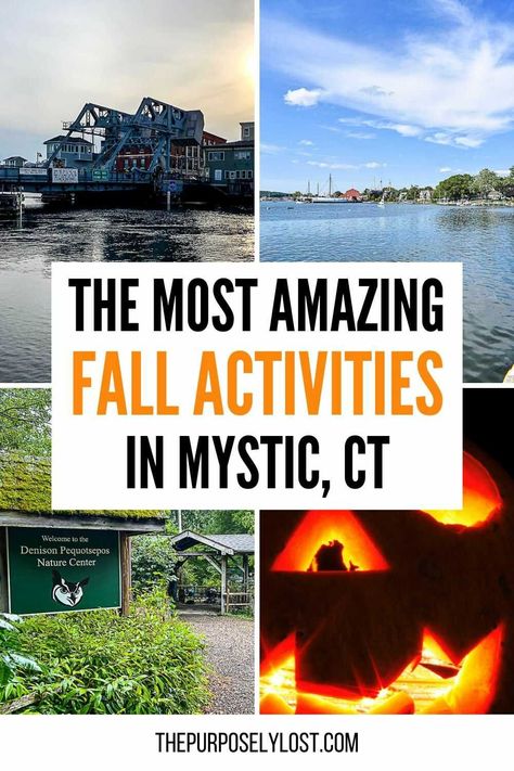 Downtown Mystic Ct, Mystic Ct Things To Do With Kids, Mystic Ct Restaurants, Things To Do In Mystic Connecticut, Mystic Ct Things To Do, Mystic Seaport Connecticut, Mystic Connecticut Things To Do, Mystic Connecticut Fall, Fall Connecticut