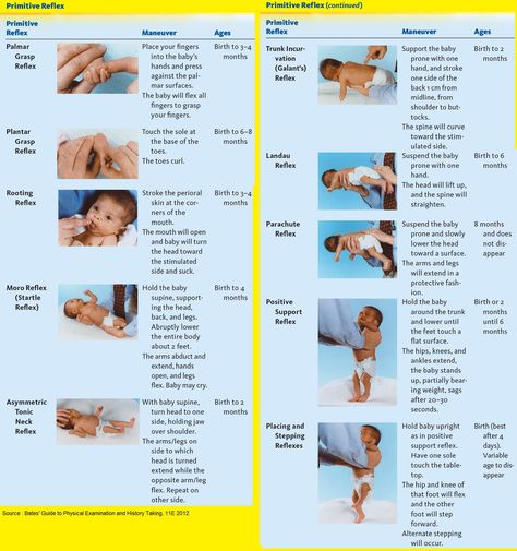 Developmental Milestones Chart, Primitive Reflexes, Daily Schedule Kids, Pediatric Medicine, Pta School, Craniosacral Therapy, Medical Jobs, Nursing School Survival, Nursing School Tips