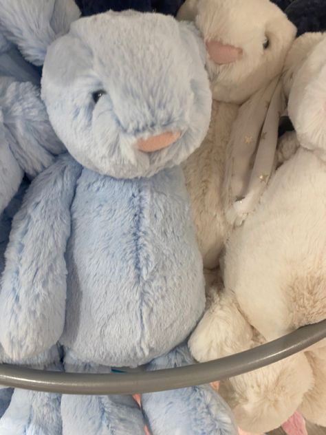 #jellycat #bunnies #teddybear Jellycats Aesthetic, Jelly Cat Bunny, Jellycat Wishlist, Jellycat Bunnies, Book Girlies, Jellycat Bunny, Jellycat Stuffed Animals, Jelly Cat, Bunny Toys