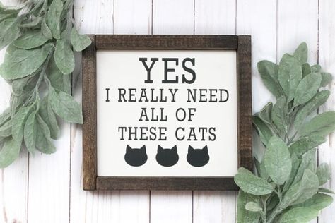 Cat Signs Wooden, Funny Cat Signs, Cricut Wood, Animal Signs, Pet Crafts, Kitty Room, Krazy Kat, Cat Sign, Cat Kitchen