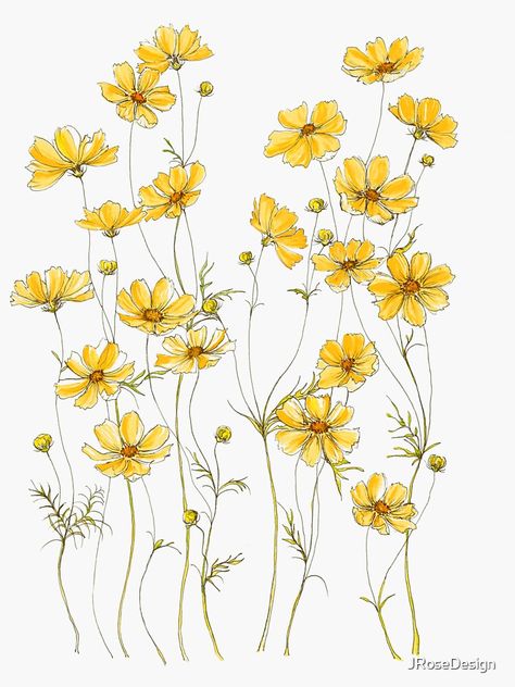 "Yellow Cosmos Flowers" Sticker by JRoseDesign | Redbubble