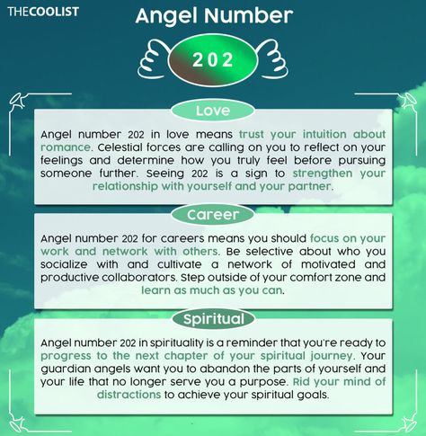 202 Angel Number, 611 Angel Number, 711 Angel Number, Professional Boundaries, Spiritual Angels, Angel Number Meaning, Color Healing, Twin Flame Relationship, Angel Number Meanings