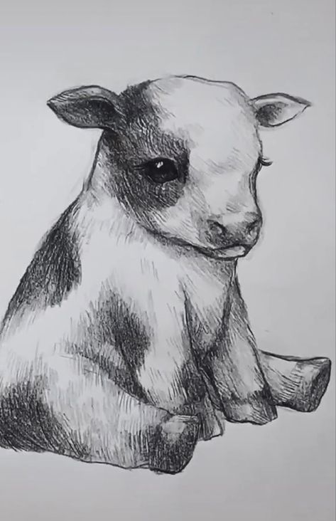 Rabbit Drawing Aesthetic, Animal Sketches Realistic Pencil Art, Weird Sketches Inspiration, Art Reference Aesthetic, Ostrich Sketch, Cool Art Reference, Sketch Animals, Cow Sketch, Cow Drawing