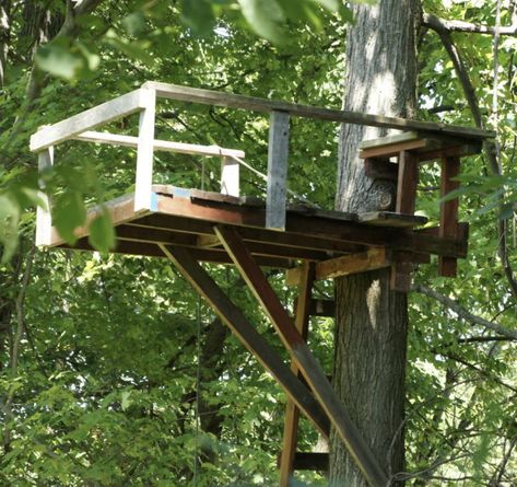 Tree Hunting Platform, Homemade Tree Stand, Deer Blind Plans, Tree Stand Hunting, Deer Hunting Stands, Deer Blinds, Deer Stand Plans, Shooting House, Hunting Stands