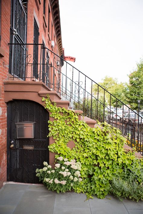 Garden Designer Visit: A Low Maintenance Brooklyn Backyard by New Eco Landscapes - Gardenista Brownstone Front Garden, Brooklyn Backyard, Low Maintenance Landscaping Front Yard, Brownstone Homes, Brooklyn Brownstone, Front Garden Design, Garden Designer, Low Maintenance Landscaping, Low Maintenance Garden