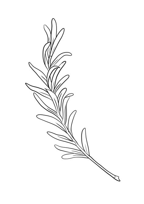 Rosemary Illustration, Instagram Campaign, Tea Plants, Instagram Campaigns, Leaf Illustration, Rosemary Sprigs, Rosemary Leaves, Rosemary, Tattoo Ideas