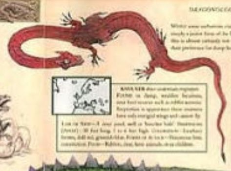 Ideation Board, Book Of Dragons, Ancient Runes, Grimm Fairy Tales, Book Dragon, Field Guide, Magical Creatures, Book Themes, Creature Design