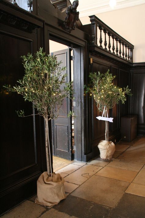 Olive trees for entrance to Great Hall Weding Decoration, Indoor Wedding Decorations, Summer Wedding Flowers, Wedding Tree Decorations, Floral Wallpaper Bedroom, Fairy Lights Wedding, Forest Theme Wedding, Palace Wedding, Great Hall