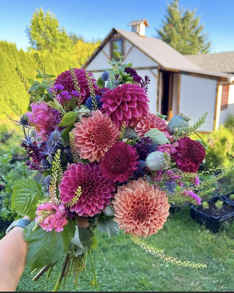 Flower Farm Bouquets, Whimsical Garden Bouquet, Native Wildflower Bouquet, Dahlias Bouquet, Farmgirl Flowers Bouquets, Farmers Market Bouquet Cut Flowers, Bouquet Recipes, Scoop Scabiosa, Floret Farm Bouquets