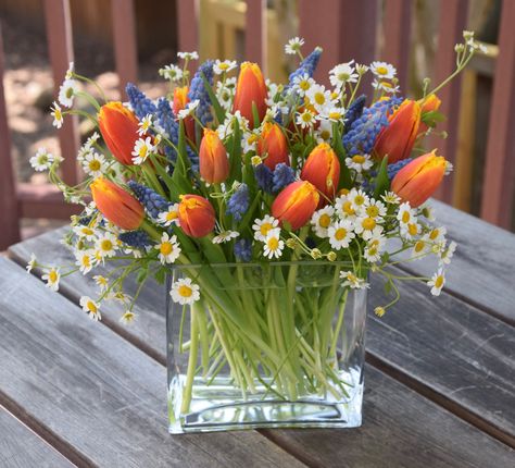 Spring flower arrangement with tulips, grape hyacinth, and chamomile. Tulpen Arrangements, Grape Hyacinth, Easter Flower Arrangements, Tulips Arrangement, Spring Flower Arrangements, Spring Floral Arrangements, Flower Arrangements Simple, Modern Flower Arrangements, Easter Flowers