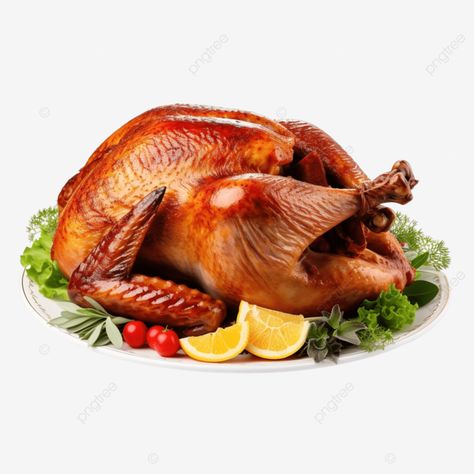 thanksgiving turkey isolated on white copy space turkey food turkey meat png Thanksgiving For Two, Thanksgiving Chicken, Turkey Spaghetti, Thanksgiving Mains, Turkey Food, Food Turkey, Turkey For Thanksgiving, Roast Chicken Dinner, Chicken Png