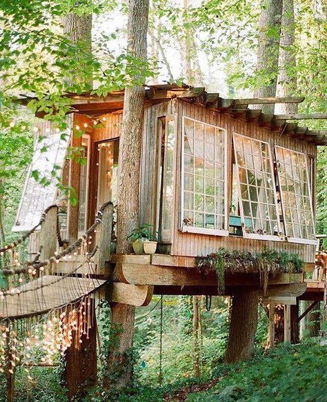 Tree House In The Woods, Treehouse Airbnb, Beautiful Tree Houses, Treehouse Masters, Tree House Diy, Cool Tree Houses, Tree House Designs, Diy Tree, She Shed