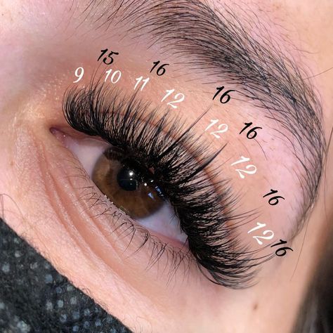 PUREBEAUTYBYA on Instagram: “✨SAVE ✨ Wispy lash map! • • #lashes #lashtech #lashextensions #lashsupplier #wispylashes #croydonlashes #purleylashes #lashartist…” Doll Eye Wispy Lash Extensions, Lash Mapping Eyelash Extensions Wispy Hybrid, Wispy Classic Lash Extensions Map, Aesthetician Tips, Hybrid Wispy Eyelash Extensions Map, Open Eye Wispy Lash Extensions Mapping, Classic Wispy Lash Extensions Mapping, Doll Eye Lash Cluster Map, Lash Map Wispy