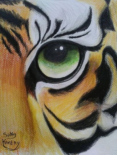 Tiger Eye Drawing, Tiger Drawing, Drawing Eye, Eye Of The Tiger, Tiger Painting, Animal Drawings Sketches, Drawing Eyes, Drawing Animals, In The Zoo