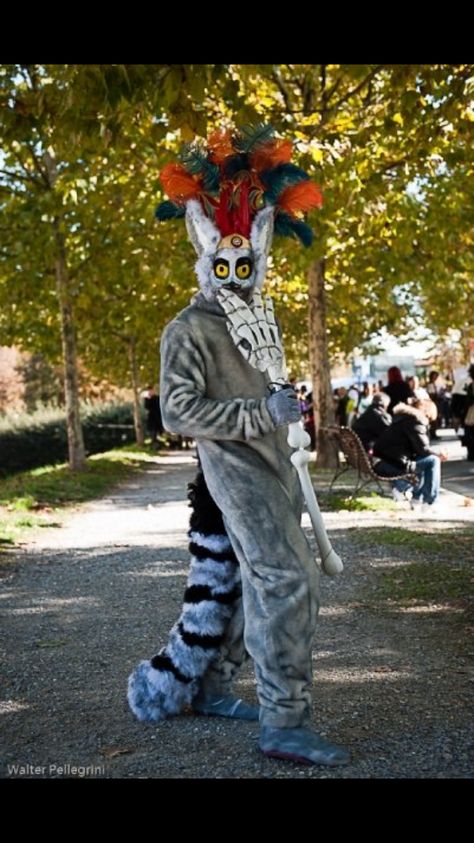 King Julian from Madagascar. King Julian Costume, King Julian, King Julien, Walt Disney Mickey Mouse, Let's Pretend, Dreamworks Animation, World Cultures, Best Cosplay, Disney Mickey Mouse