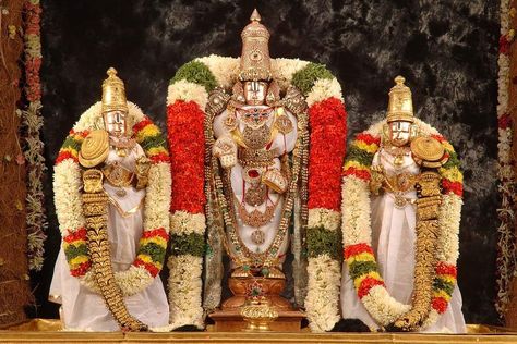 Venkateswara Swamy Images Hd, Venkateswara Wallpapers, Venkateswara Swamy Images, Vishnu Vishal, Venkateswara Swamy Images Hd 1080 Wallpaper, Rama Lord, Venkateswara Temple, Lord Venkateshwara, God Venkateswara Images Hd Wallpaper