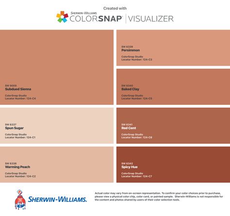 Sherwin Williams Clay Paint Colors, Baked Clay Sherwin Williams, Sherwin Williams Baked Clay, Baked Clay, Baking Clay, Clay Paint, Color Chip, Paint Samples, Pallet Ideas