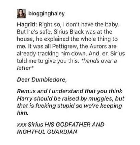 Baby Harry Potter, Rubeus Hagrid, Gay Harry Potter, Potter Facts, Harry Potter Headcannons, Harry Potter Facts, Harry Potter Jokes, Albus Dumbledore, Harry Potter Marauders