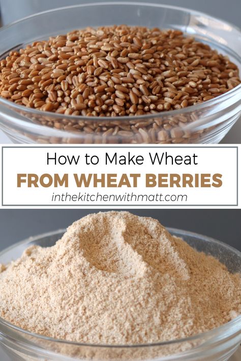 Bowl of wheat berries above a bowl of freshly ground whole wheat flour. Homemade Staples, Rye Berries, Dairy Free Dips, Wheat Berry, Homemade Chocolate Truffles, Dessert Truffles, Peanut Butter Bites, Berry Recipes, Wheat Recipes