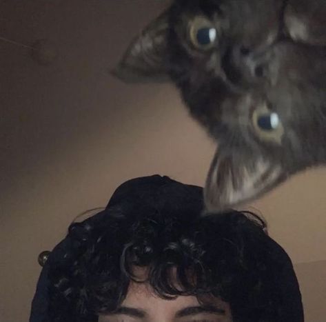 Men With Cats, ماثيو ماكونهي, Dark Curly Hair, Black Hair Boy, Boy Cat, Boys With Curly Hair, Pics Ideas, Profile Pictures Instagram, Handsome Prince