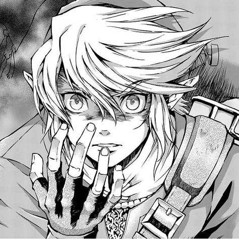 Link Pfp Aesthetic, Link Tp Manga, Link Manga Panel, Twilight Princess Link Pfp, Legend Of Zelda Manga Panels, Link Manga Icon, Link Twilight Princess Manga, Link Icon Zelda, Loz Manga