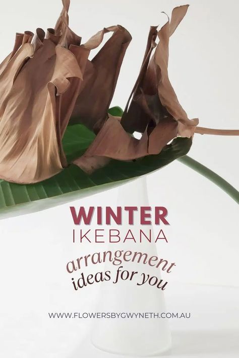 Ikebana Arrangement, Arranging Flowers, Ikebana Arrangements, Japanese Flower, Beauty Of Winter, Modern Flower Arrangements, Flowers Dried, Japanese Flowers, Arrangement Ideas