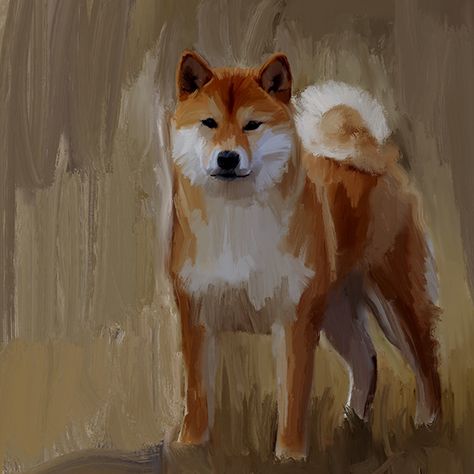 My shiba inu dog Marusya on Behance Shiba Painting, Drawing Ideas Easy Dog, Shiba Inu Dog Drawing, Shiba Inu Painting, Shiba Inu Drawing, Simple Dog Drawing, Shiba Inu Art, Easy Dog Drawing, Dog Drawing Reference