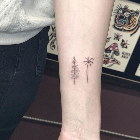 Pine & palm tree     #sanfranciscotattoo#losangelestattoo#singleneedle#finelinetattoo Small Nature Tattoo, Moutain Tattoos, Pine Tattoo, California Tattoo, Mother Nature Tattoos, Pine Tree Tattoo, Explore Tattoo, Inner Forearm, Palm Tree Tattoo