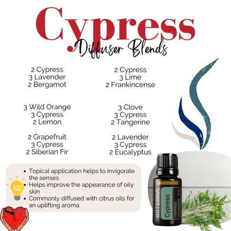 Doterra Cypress Diffuser Blends, Cypress Diffuser Blends, Doterra Diffuser, Cupressus Sempervirens, Doterra Diffuser Blends, Doterra Oil, Clean Lifestyle, Citrus Oil, Wild Orange