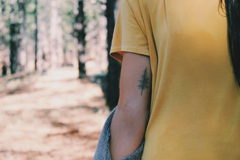 Pine tree inner arm tattoo More Back Of Arm Tree Tattoo, Pine Tree Tattoo Placement, Tree Tattoo Back Of Arm, Fine Line Tree Tattoo, Tree Tattoo Arm, Inner Arm Tattoos, Tattoo Tree, Arm Tats, Inner Arm Tattoo